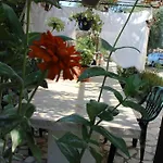Marina 1990